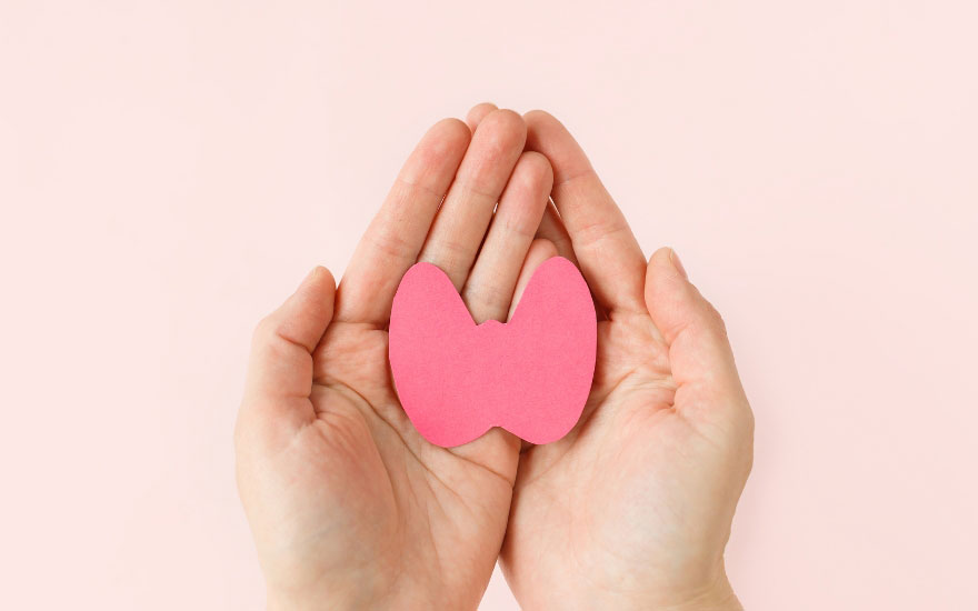 Schilddrüsenbalance verbessern: Dein Weg zu mehr Energie und innerer Stabilität